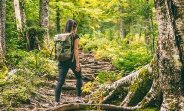 Paket Trekking Sentul Bogor